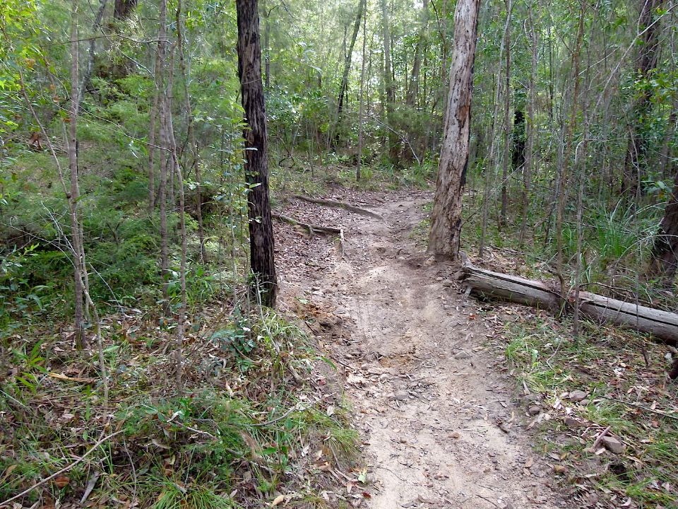 P1160427.jpg